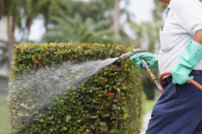 Garden Pest Control - Green Pest Management