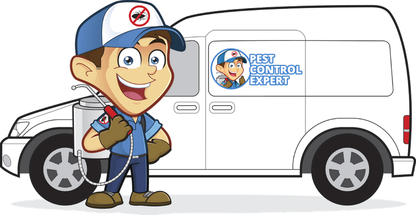 Pest Control Services