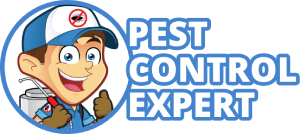 Pest Control Expert